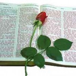 Open Bible for Bible Study